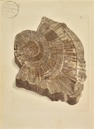 Lot 181 - Martin (William).