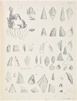 Lot 145 - Darwin (Charles).