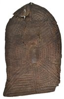 Lot 353 - Shield.