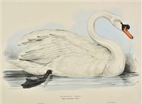Lot 330 - Lear, Edward