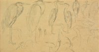 Lot 99 - Wolf, Joseph, 1820-1899