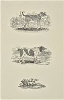 Lot 151 - Bewick, Thomas, 1753-1828