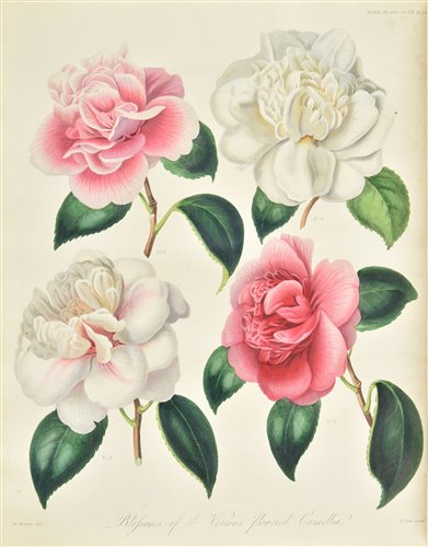 Lot 125 - Transactions of the Horticultural Society of London.
