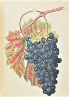 Lot 125 - Transactions of the Horticultural Society of London.