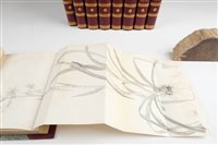 Lot 125 - Transactions of the Horticultural Society of London.