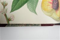 Lot 125 - Transactions of the Horticultural Society of London.