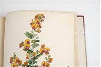 Lot 125 - Transactions of the Horticultural Society of London.