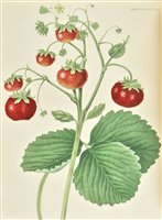 Lot 125 - Transactions of the Horticultural Society of London.