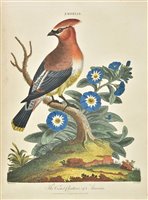 Lot 445 - Encyclopaedia Londinensis