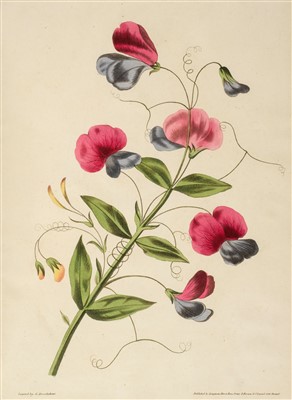 Lot 352 - Brookshaw (George). A New Treatise on Flower Painting, 1818
