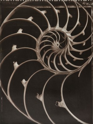 Lot 119 - Ryan, Seamus A., born 1964