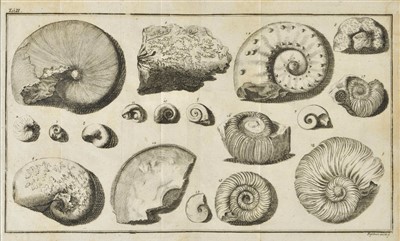 Lot 45 - Baier, Johann Jacob